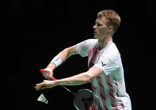 17号似乎 17号似乎